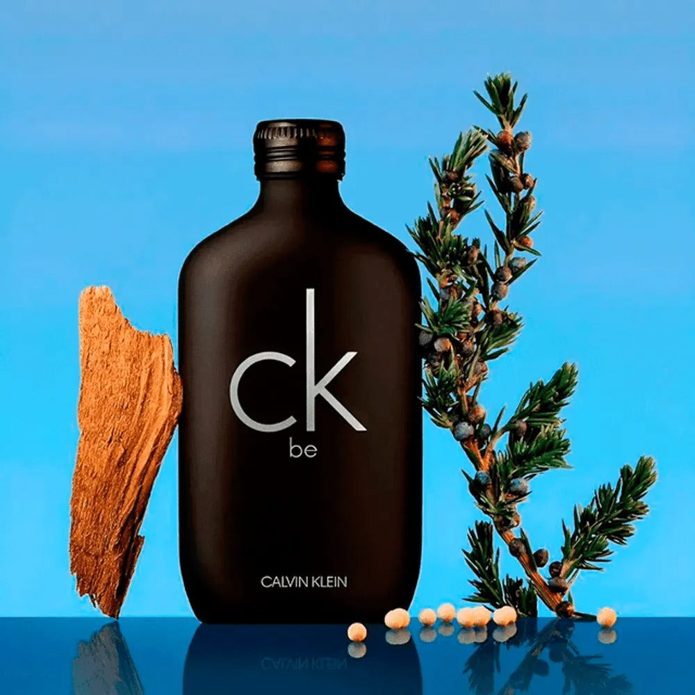 Calvin Klein CK Be Eau de Toilette (100ml)