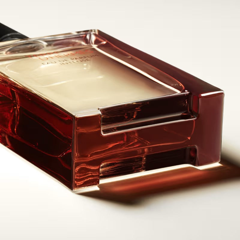 Hermès Terre d'Hermès Eau de Parfum Intense (100ml)