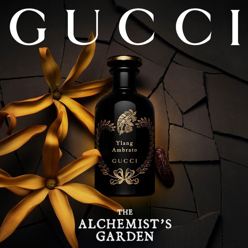 Gucci The Alchemist's Garden Ylang Ambrato EDP (100ml)