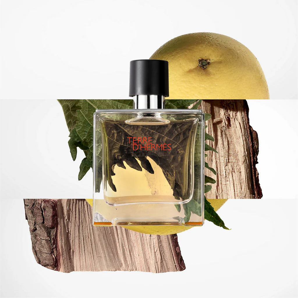 Hermes Terre D'Hermes Eau De Toilette For Men(100ml)