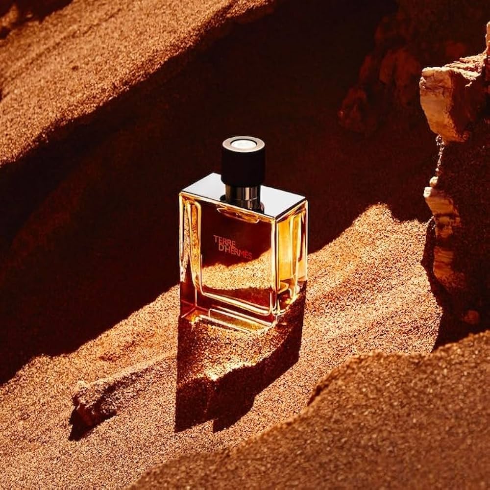 Hermes Terre D'Hermes Eau De Toilette For Men(100ml)