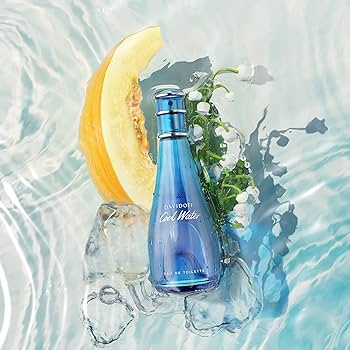 Davidoff Cool Water Eau De Toilette For Women (100ml)