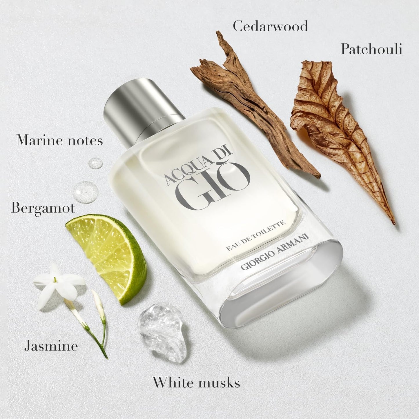 Giorgio Armani Acqua Di Gio Pour Homme EDT (200ml)