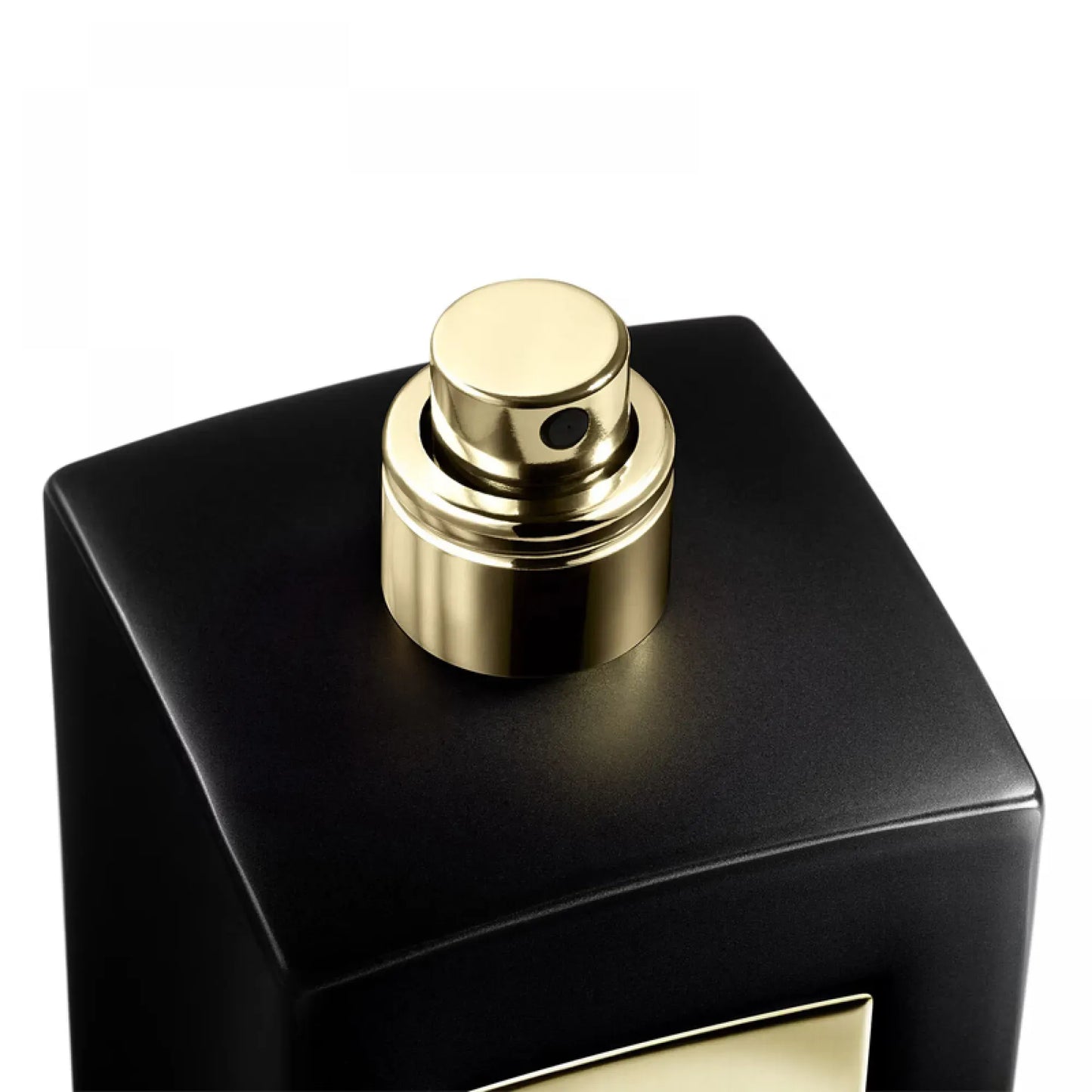 Giorgio Armani Privé Cuir Noir Eau de Parfum Intense (100ml)