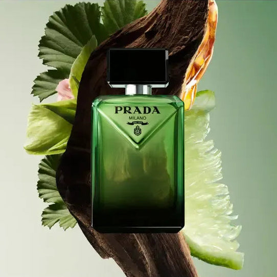 Prada Paradigme Eau de Parfum (100ml)