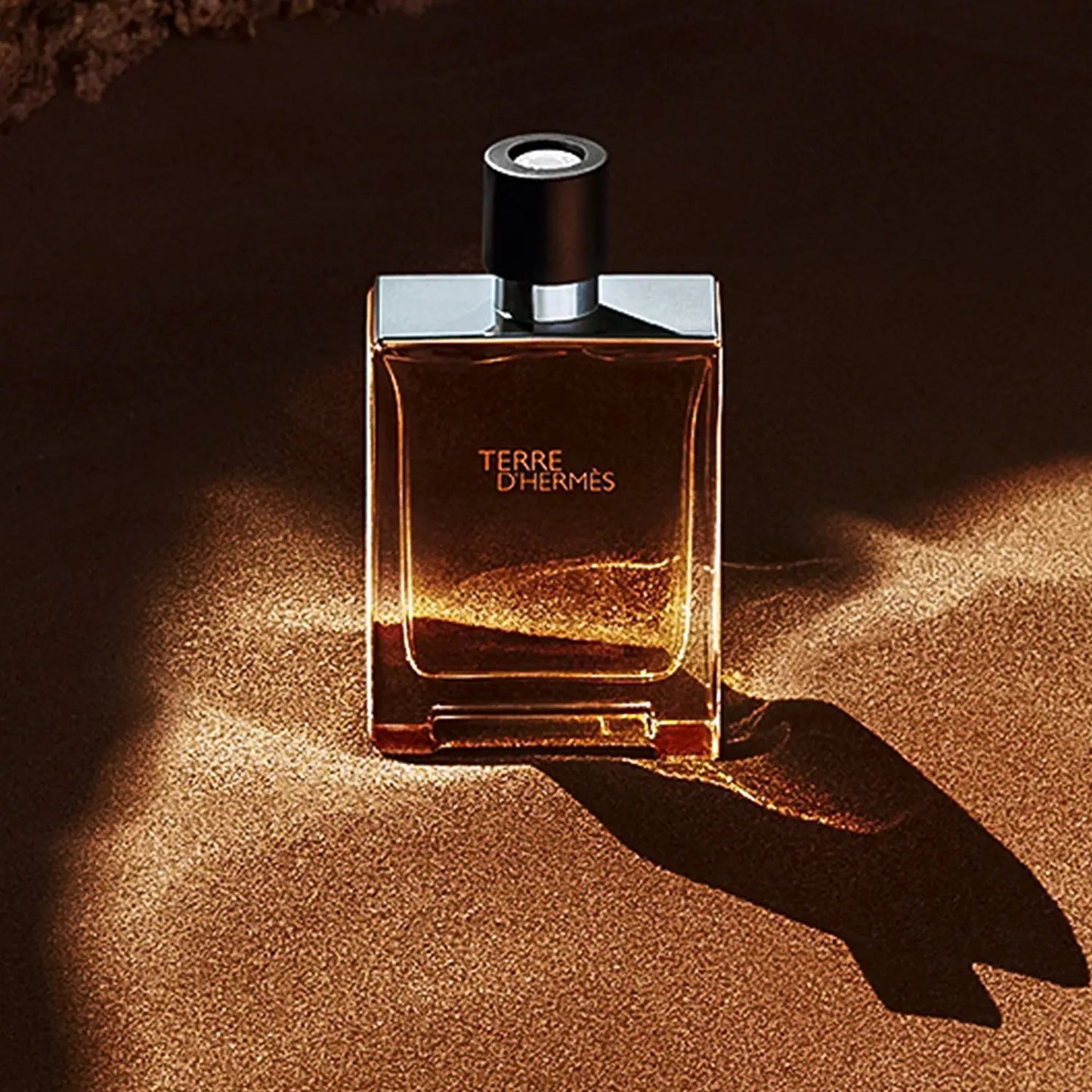 Hermes Terre D'Hermes Eau De Toilette For Men(100ml)