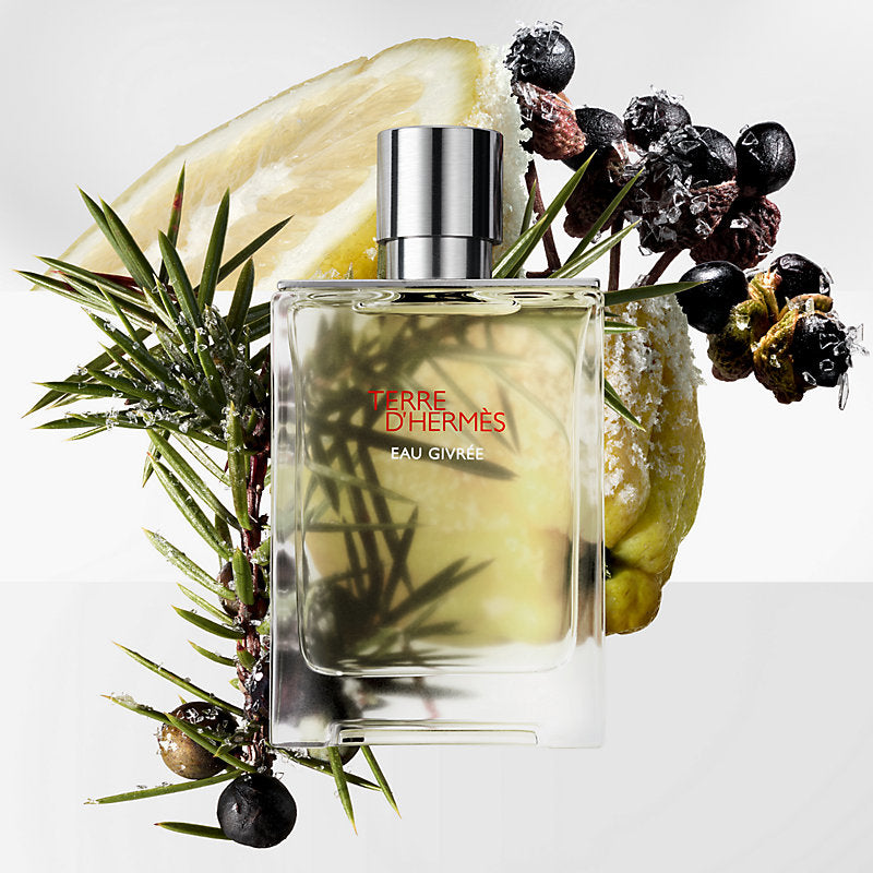 Hermes Terre D'Eau Givree Eau de Parfum (100ml)
