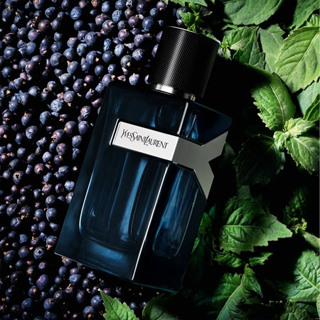 Yves Saint Laurent Y Eau De Parfum Intense For Men (100ML)